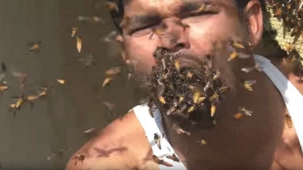 شاهد- فيديو صادم لرجل "يأكل" آلاف النحلات حية!