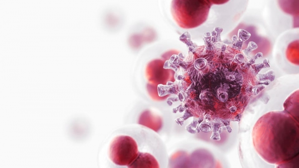 كيف يمكن الوقاية من تمدد خلايا السرطان في الجسم والعمل على قتلها؟