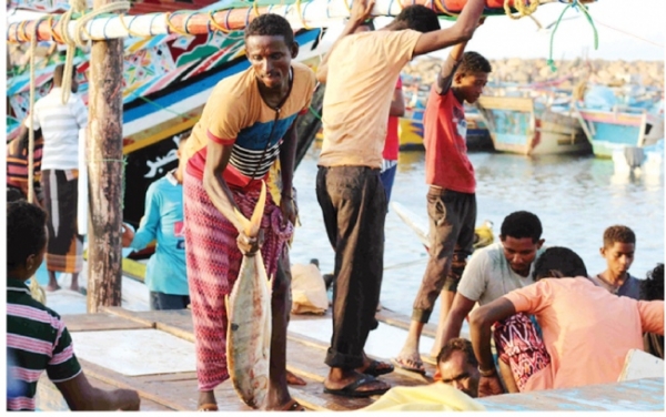 
                                                رئيس ملتقى الصيادين: سفن إماراتية تحتجز صيادين يمنيين وتسلمهم للسلطات الارتيرية