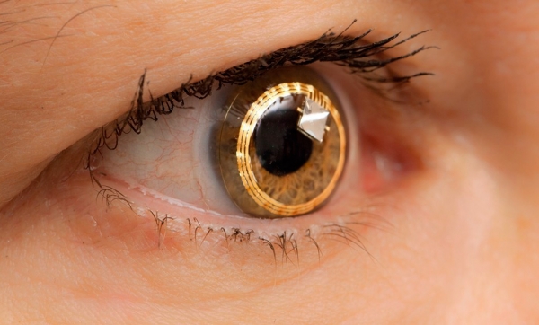 دراسة تكشف وسيلة جديدة وسهلة للحد من تدهور بصر الإنسان