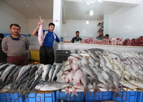 حظر تصدير الأسماك.. تداعيات كارثية تضاعف معاناة الصيادين في اليمن (تقرير خاص)