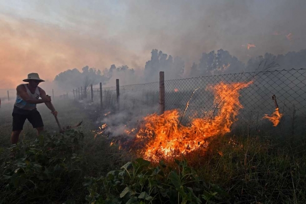 وفاة 34 شخصاً وإصابة العشرات في حرائق هائلة تجتاح الغابات في الجزائر