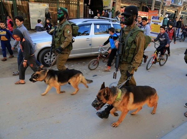 الاحتلال الصهيوني يعترف بفشل كلابه المدربة في مواجهة "كلاب" المقاومة الفلسطينية بغزة